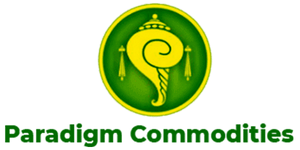 birenlogo_logo-1.png